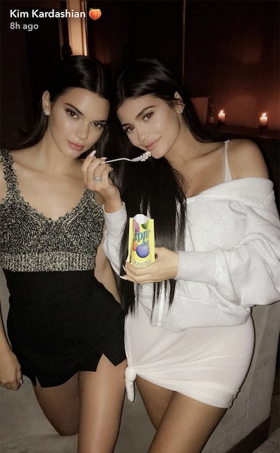 Kylie Jenner, 20th Birthday Party